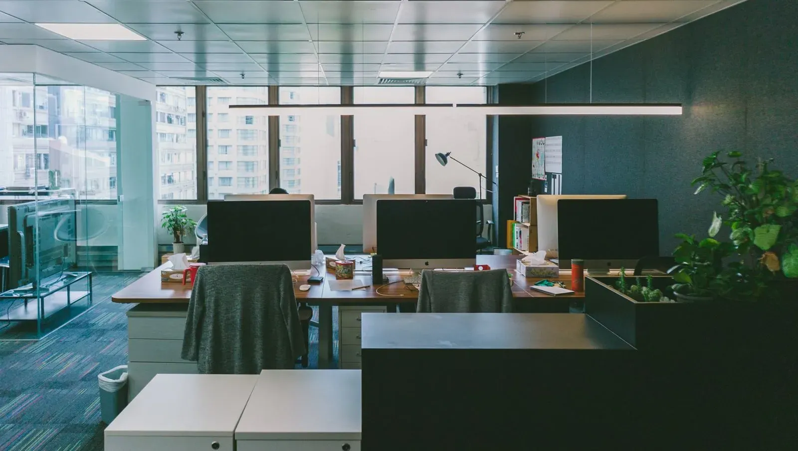 Flips Office Image 2